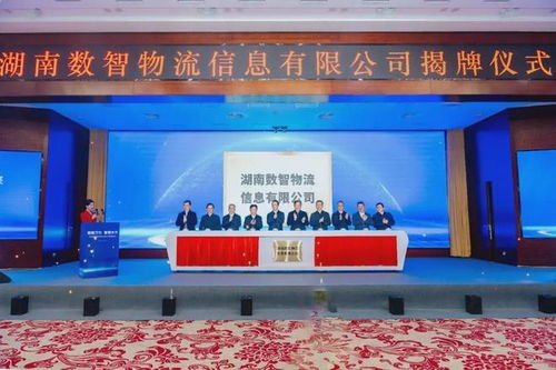 湖南数智物流信息公司成立 20亿注册资本引领物流信息化新篇章