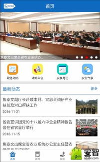 应用搜索 互联网信息服务的起点与演进